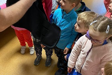Obrázek č.15